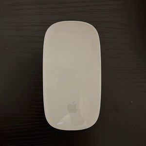 Apple Magic Mouse